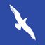 Cape Air