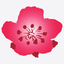 China Airlines