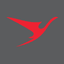 Surinam Airways