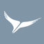 Arik Air